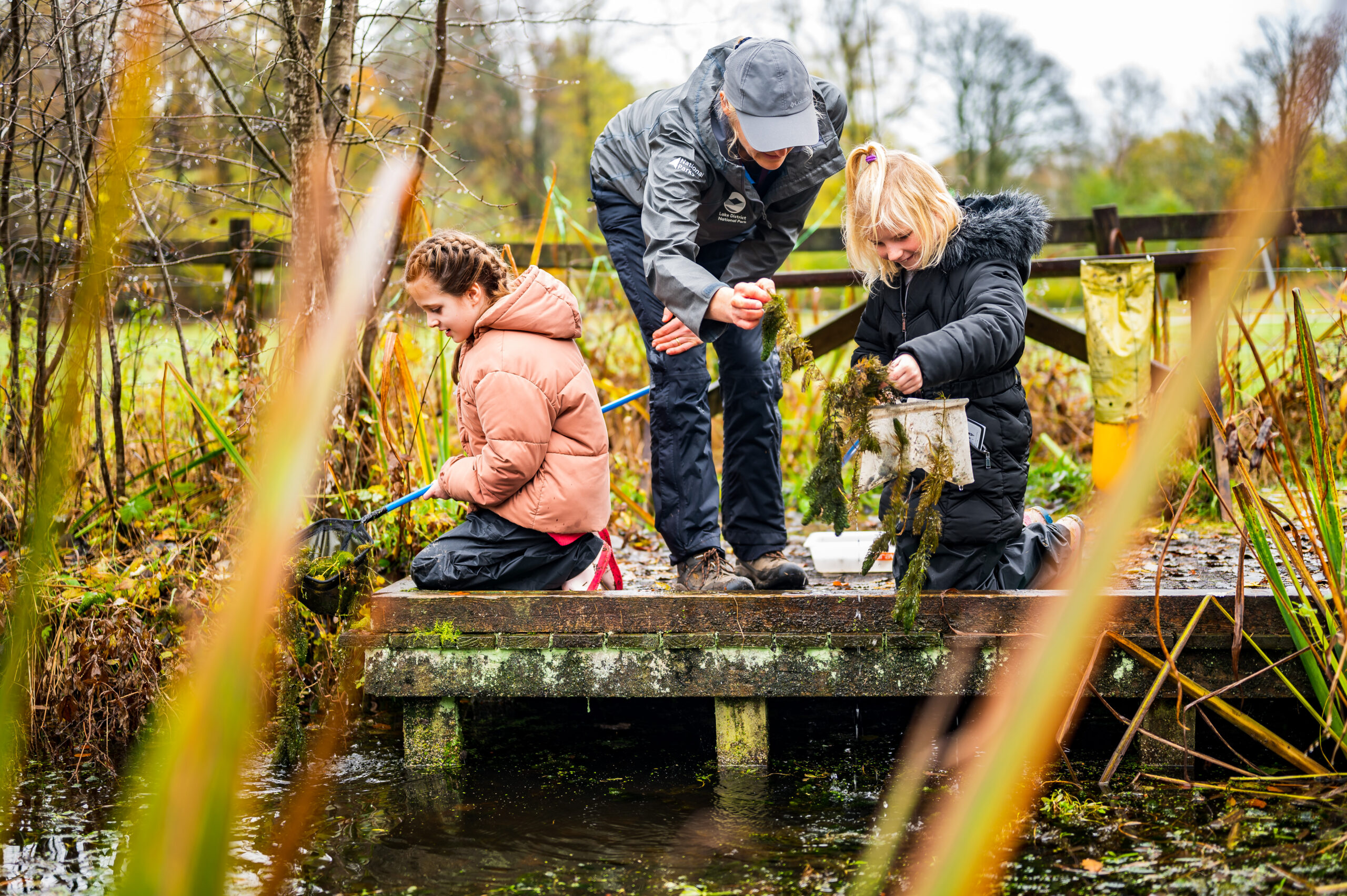 Two young children and adult female instructor sat amongst orange and green reeds and tall grasses on a wooden platform. The children and adult are wearing outdoor coats, holding a ponds net above a vegetation covered pond