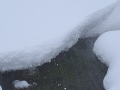 close up of a graupel in snow