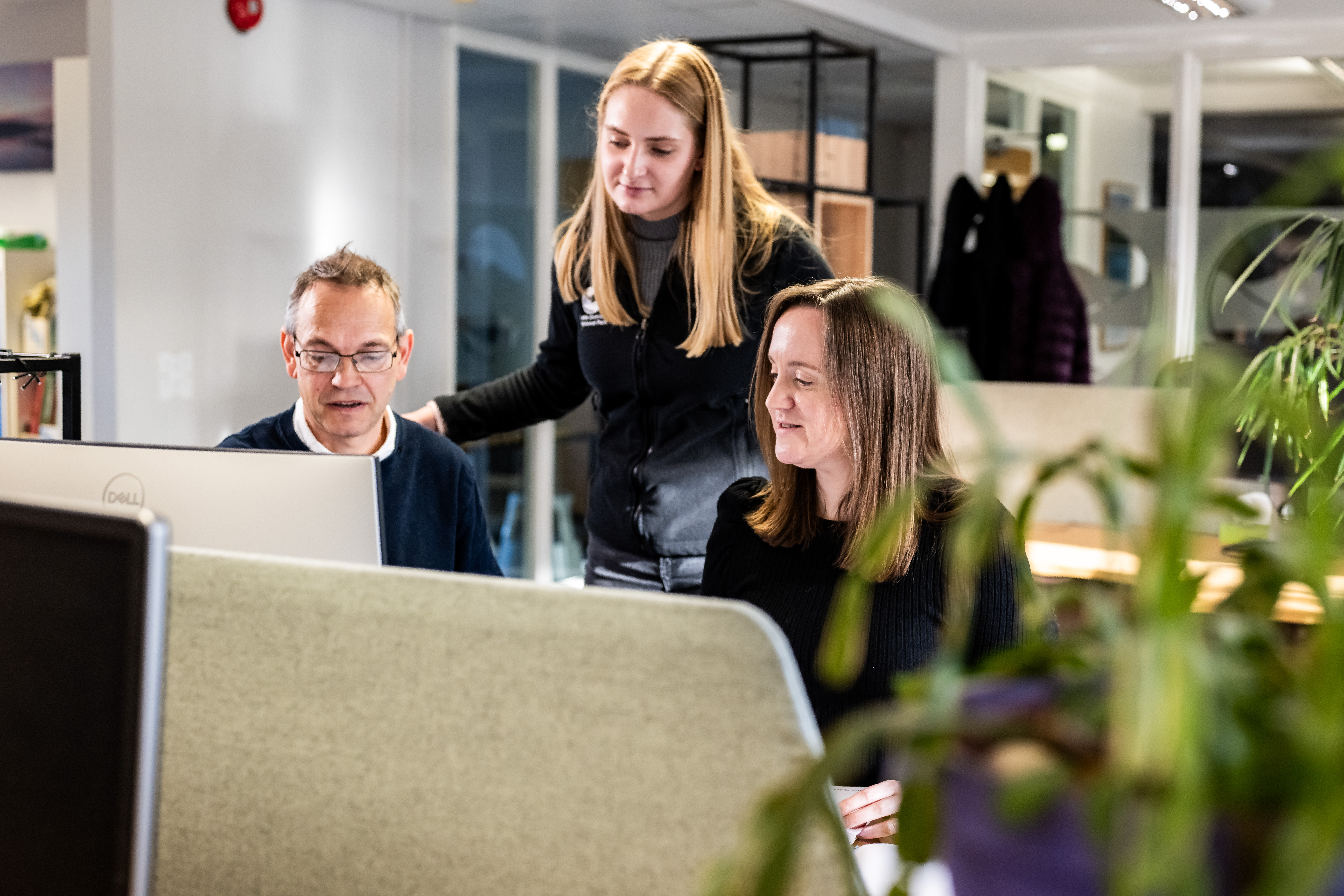 Three people working together in a modern office setting, gathered around computer screens with plants and office furniture in the background.