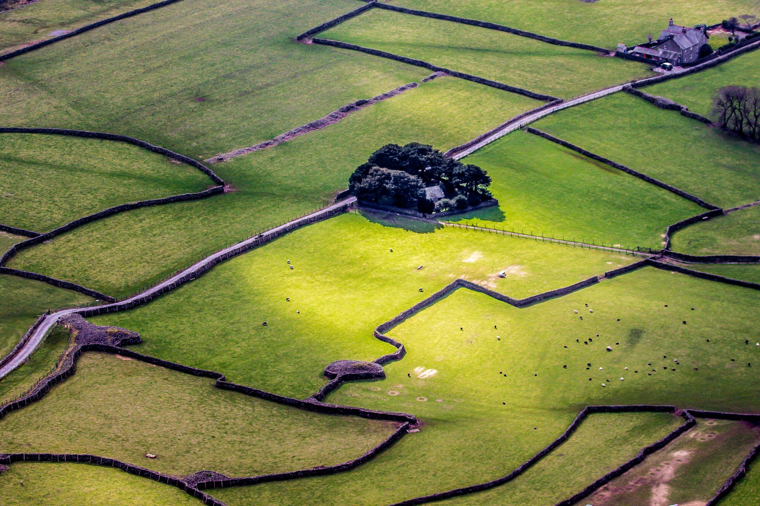 aerial view of green fields and central farmhouse, divided up by a lane, drystone walls and a few trees