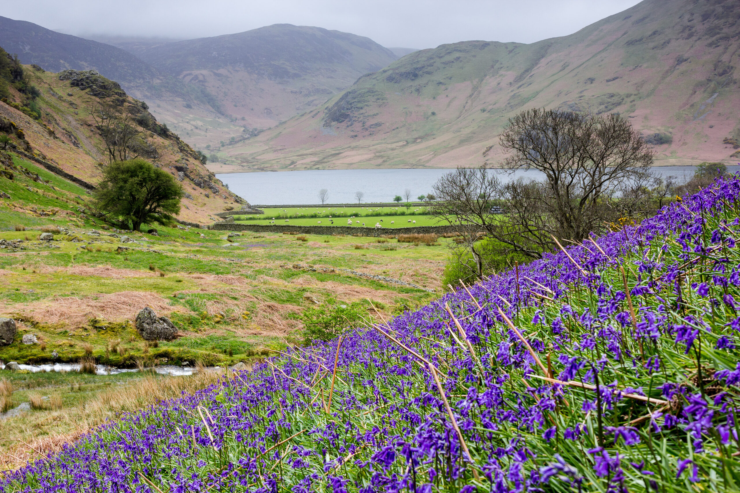 Planning for nature recovery