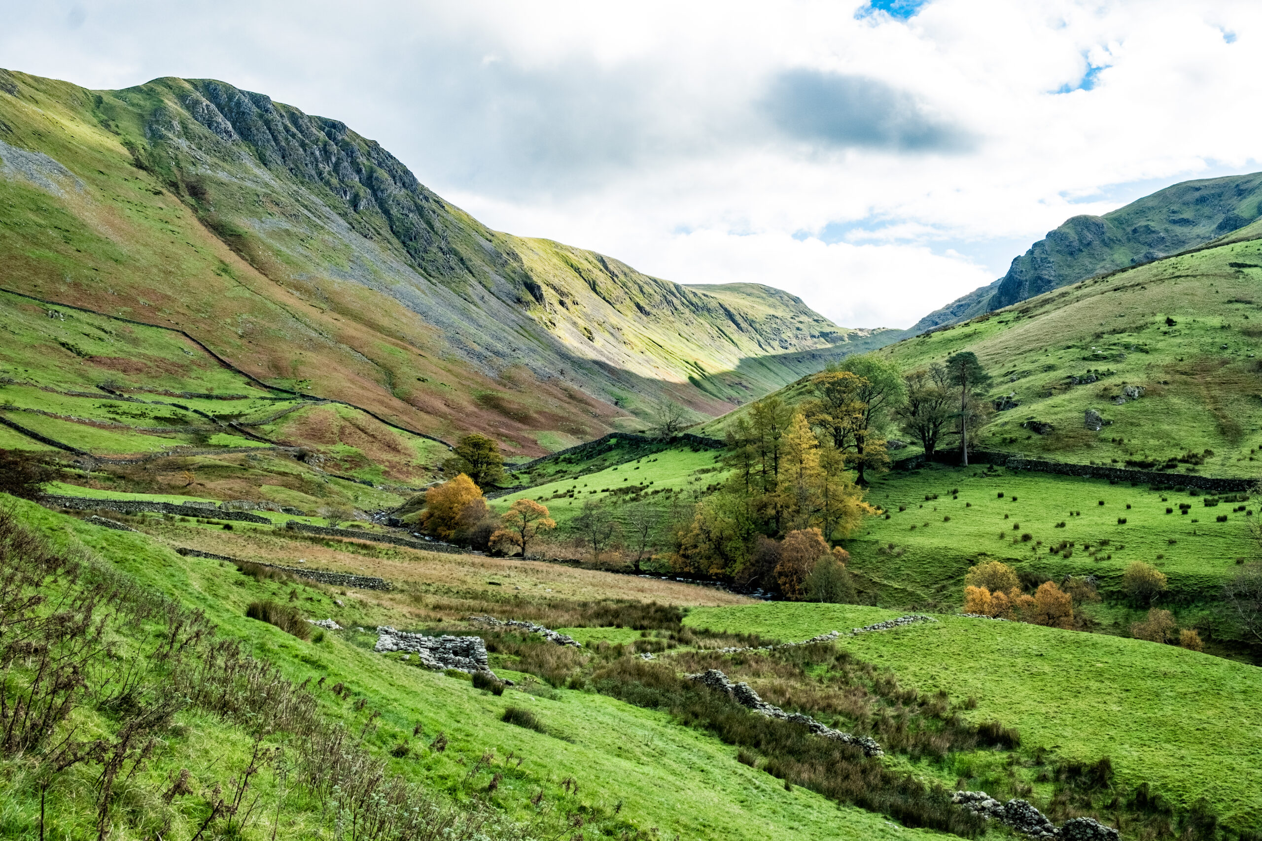 lush green and brown rugged valley