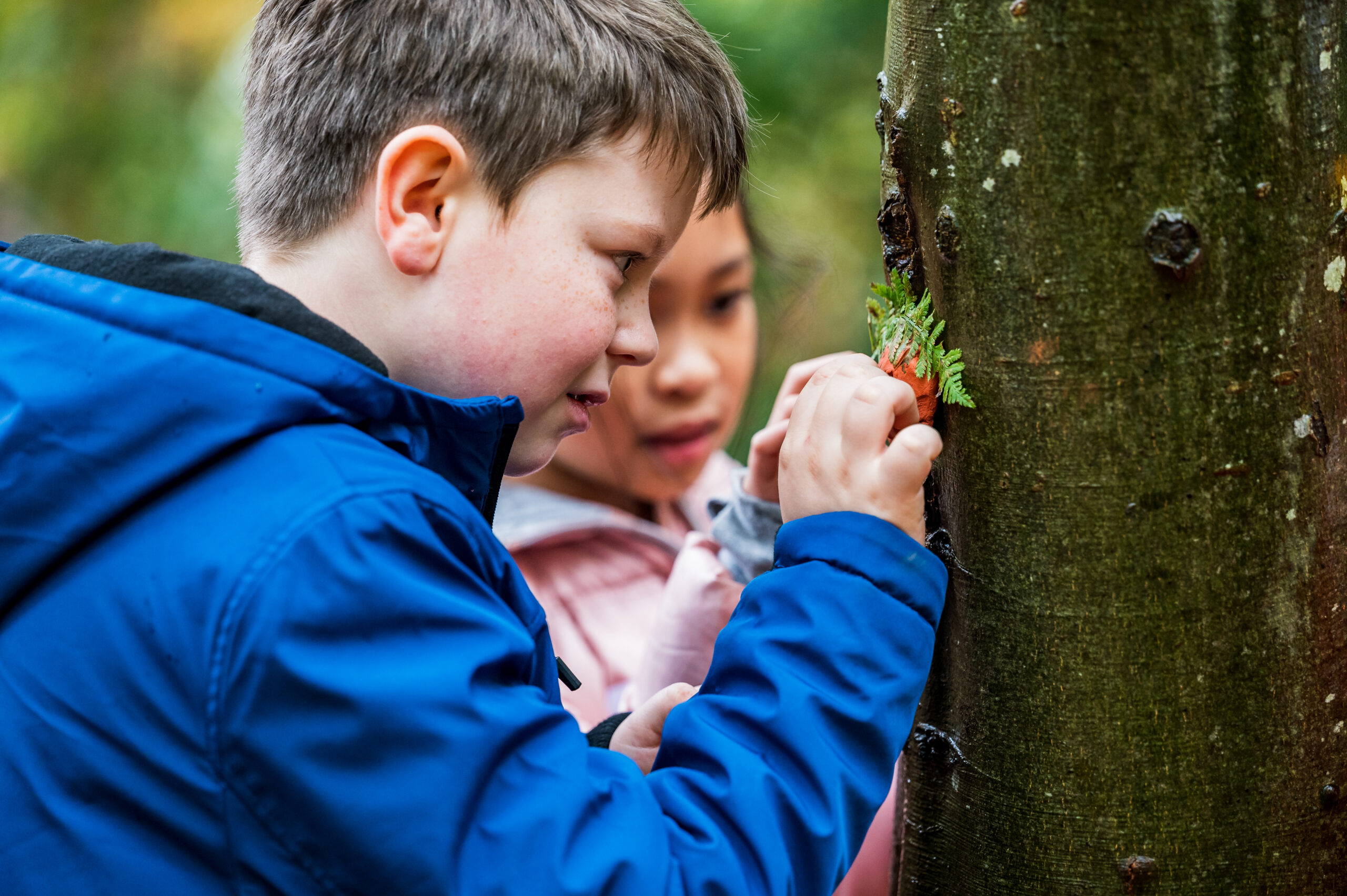 two children inspecting trees in a woodland