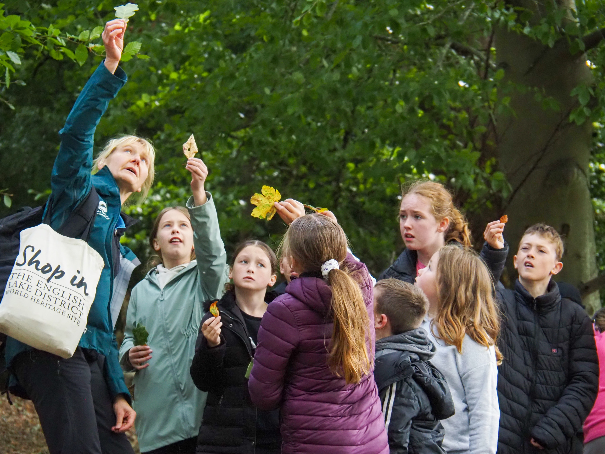 children holding up leaves