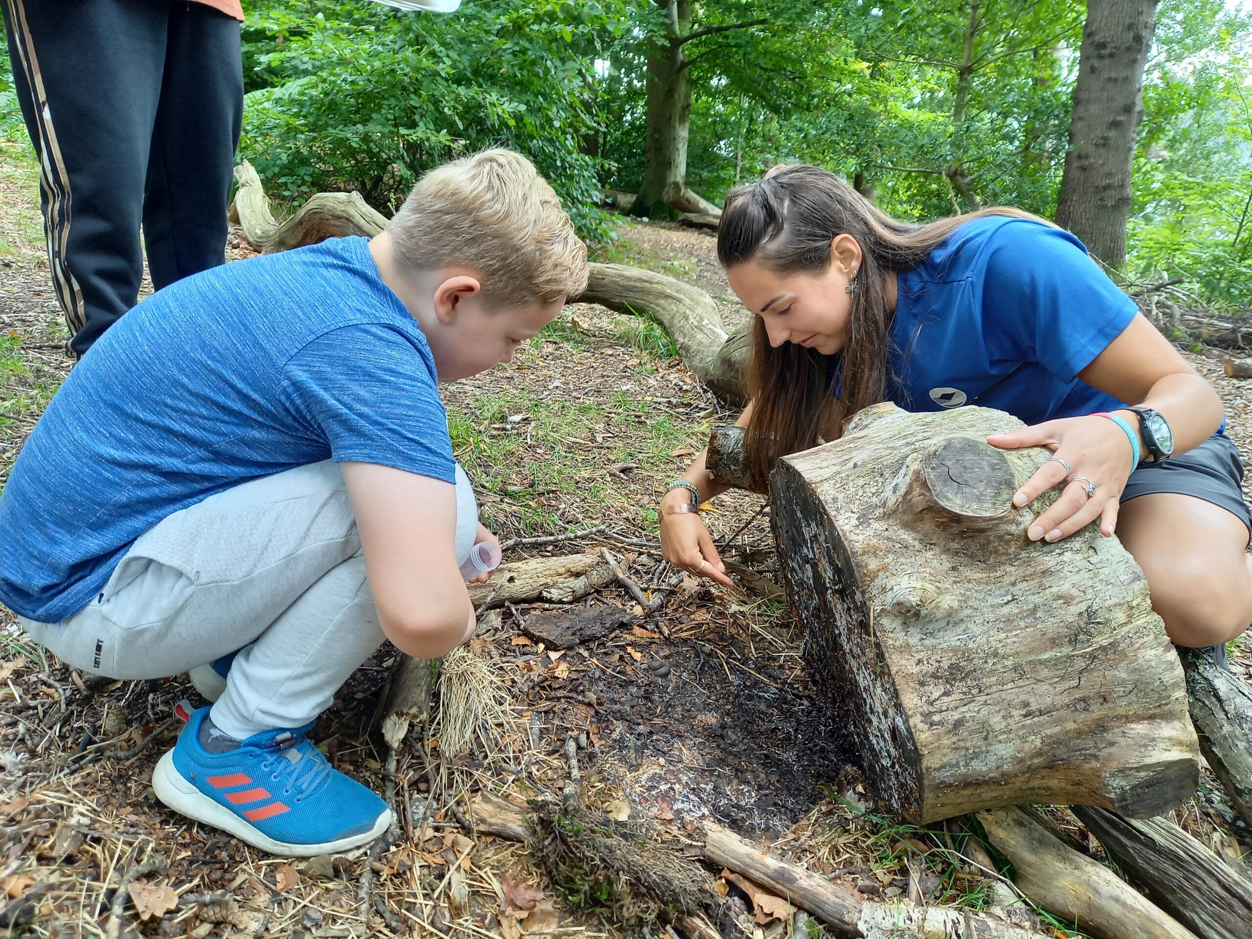 a child looking under a tree stump