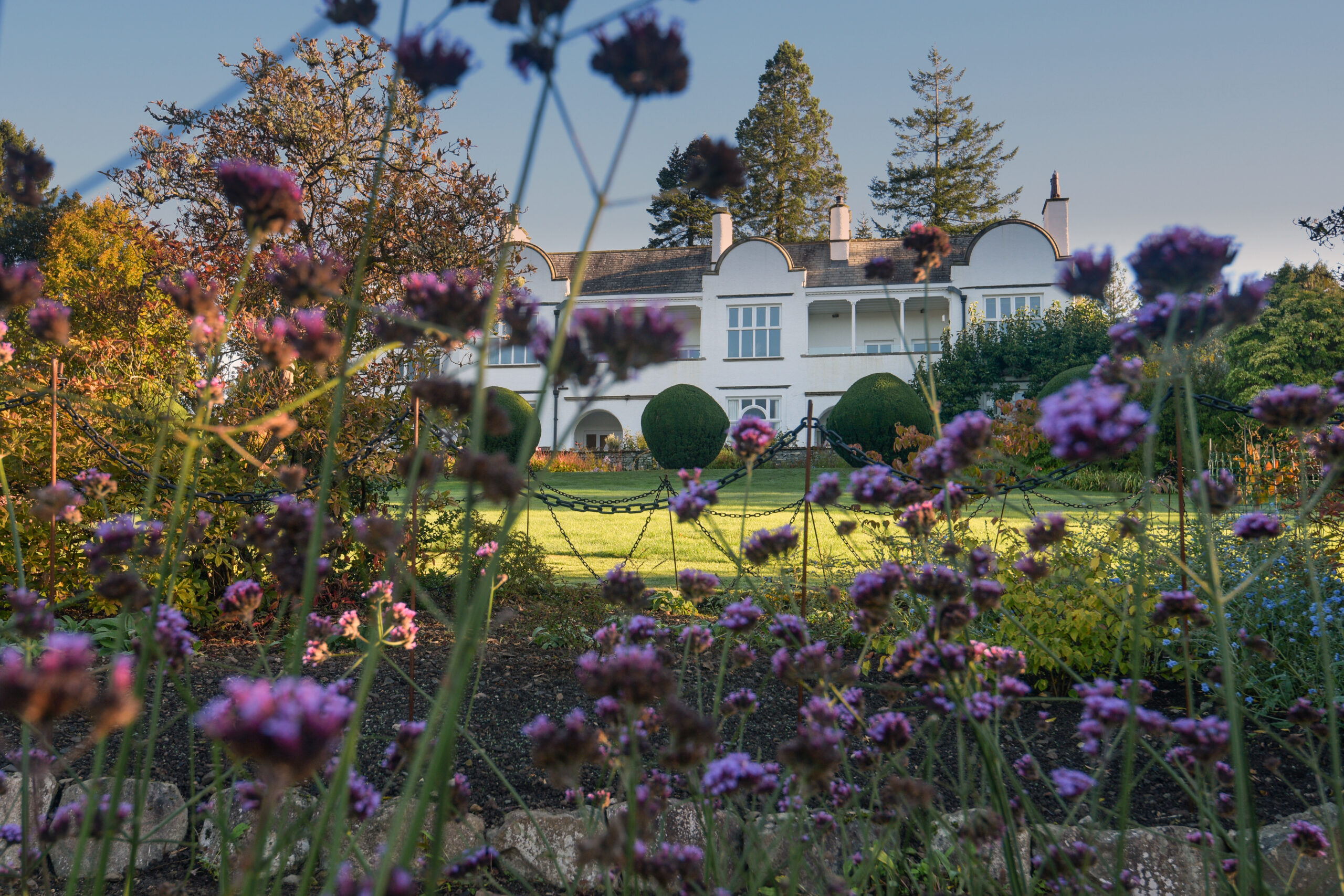 large white country house behind a grass garden, framed by purple garden flowers