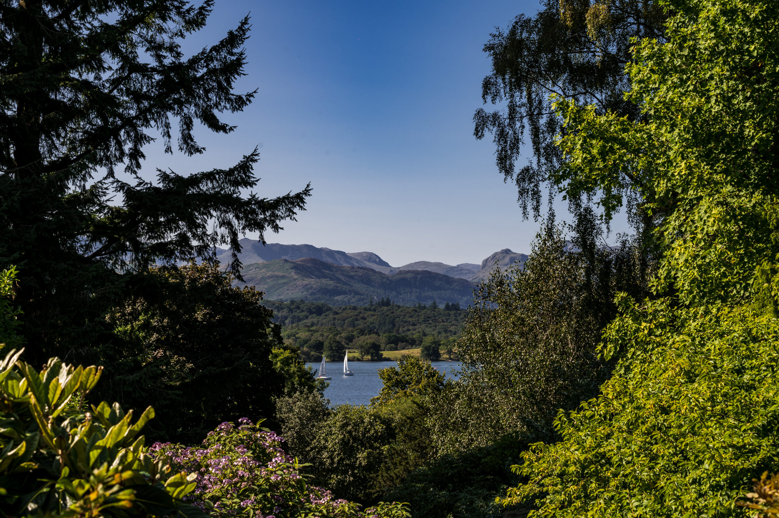 lush greenery and vegetation view from brockhole gardens out to windermere lake