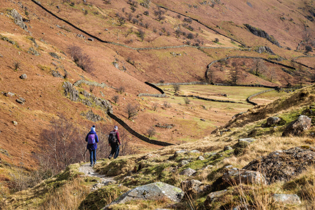 Feel the Force audio trail