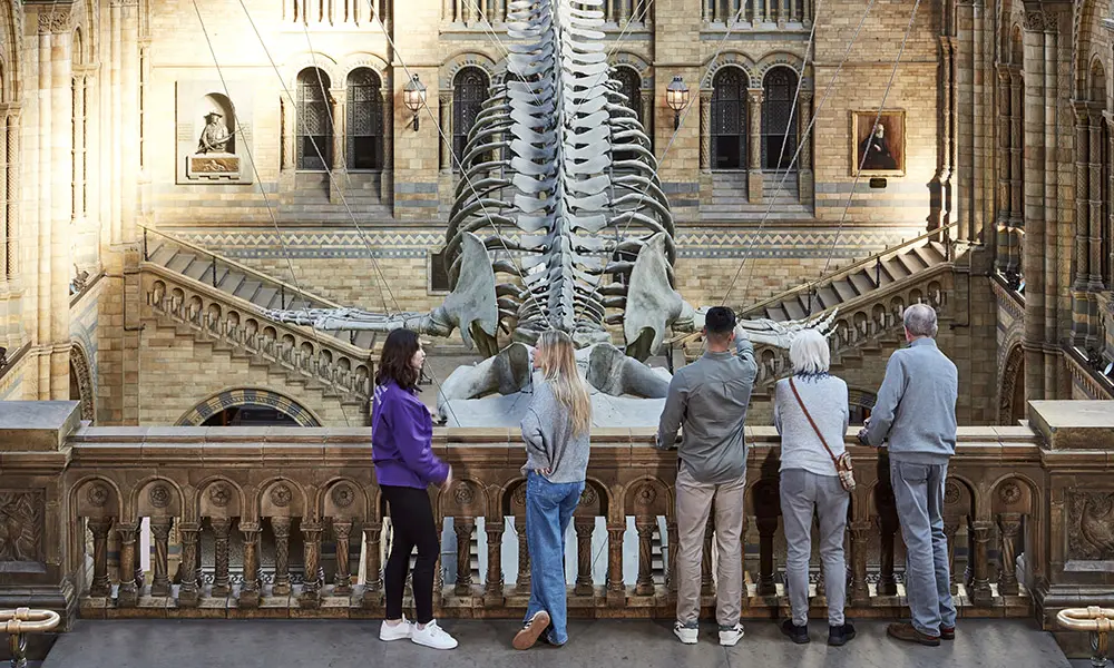 A tour guide talks to a group of people on a balcony of Hintze Hall overlooking Hope the blue whale