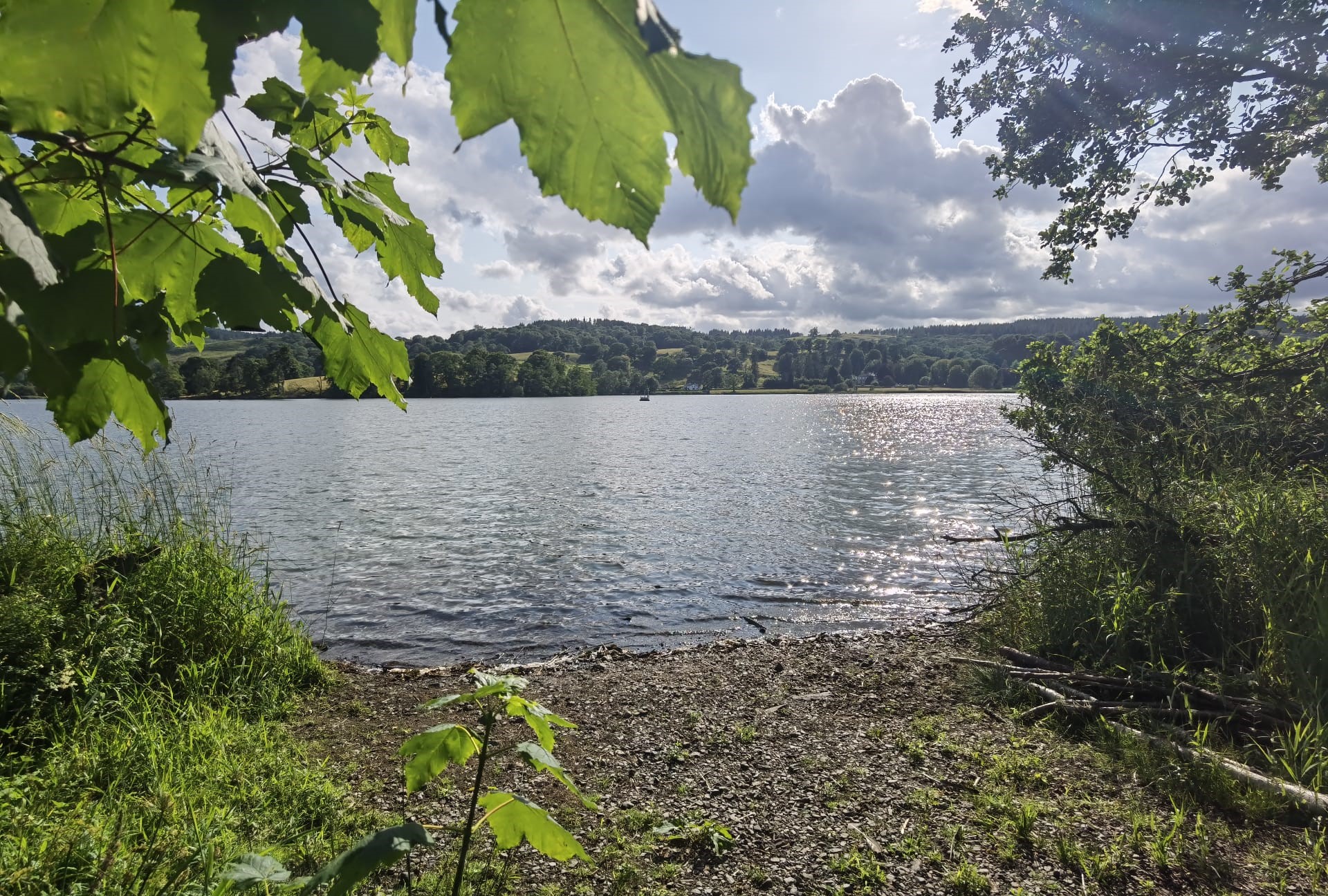 looking out through leaves to esthwaite water