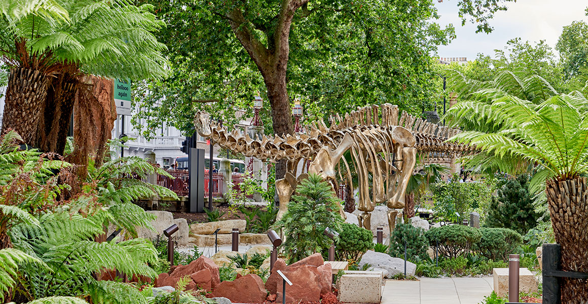 Fern the diplodocus looks like it's walking amongst the trees in our garden