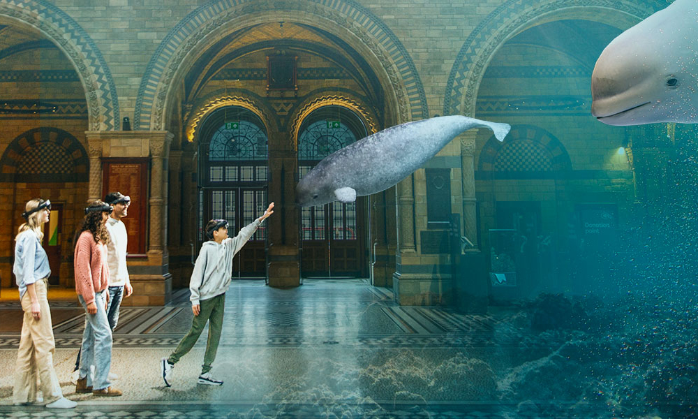 A boy wearing a virtual reality set reaches out to touch a narval in Hintze Hall