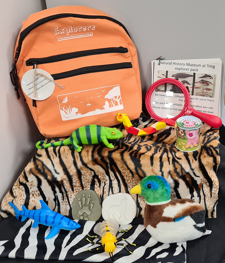 A photo of an orange backpack surrounded by tactile objects including some toy animals, model footprints, a magnifying glass and some information cards.