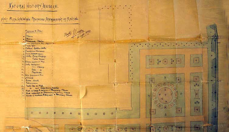A creased historical plan of the Natural History Museum gardens showing the proposed arrangement of plants, although the details of plant names aren't legible