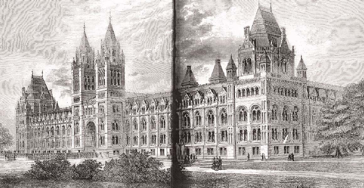 A black and white pencil sketch showing the facade of the Natural History Museum and informal gardens in the foreground.