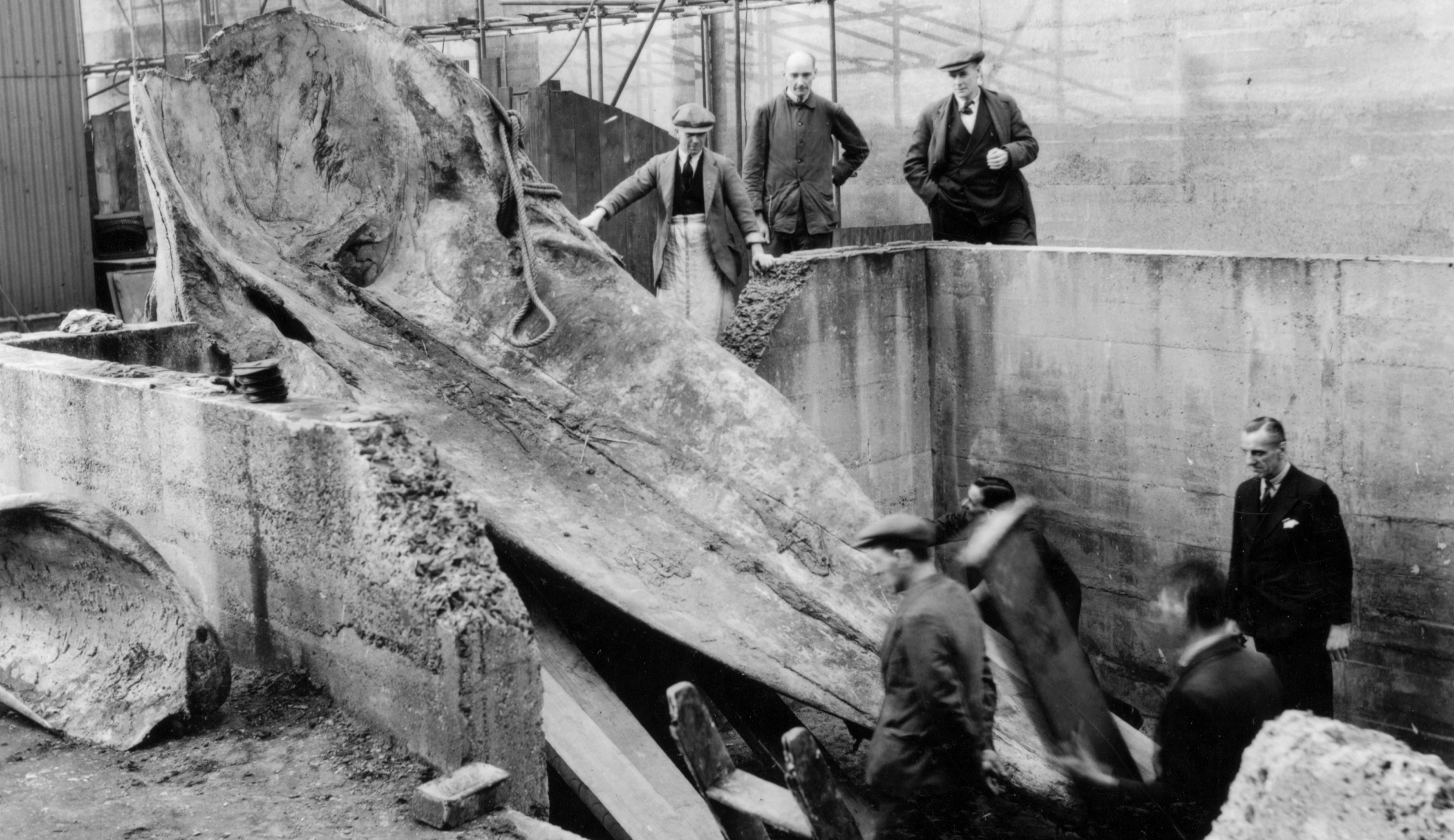 A team of five men surround a giant skull, which is being winched out of the ground