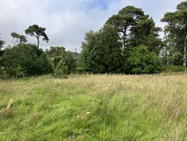 North