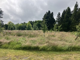 West