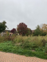 North