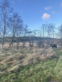 North