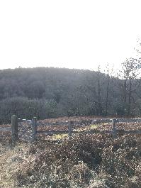 South
