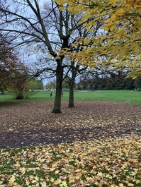 North