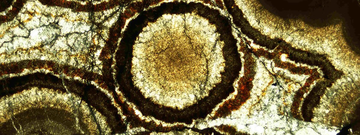 A close up on the mineral sphalerite