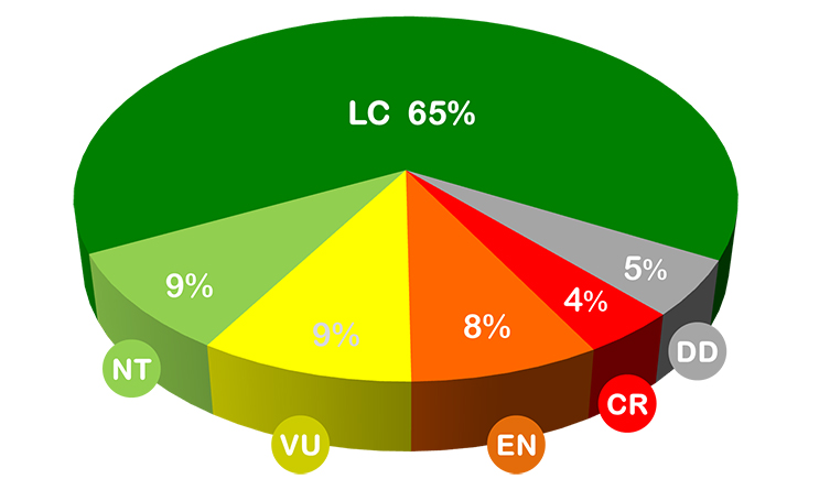 A pie chart