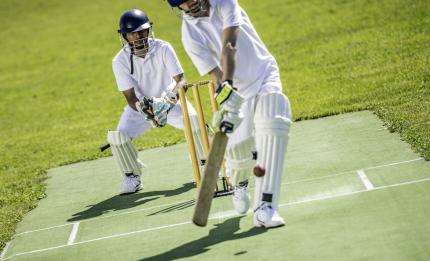 two people playing cricket
