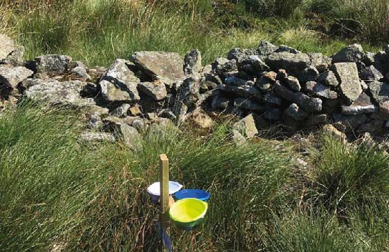 Survey sites are a mix of farmed and wild landscapes