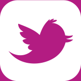 Follow the UK Pollinator Monitoring Scheme (PoMS) on Twitter