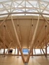 underside of wooden architectural structure