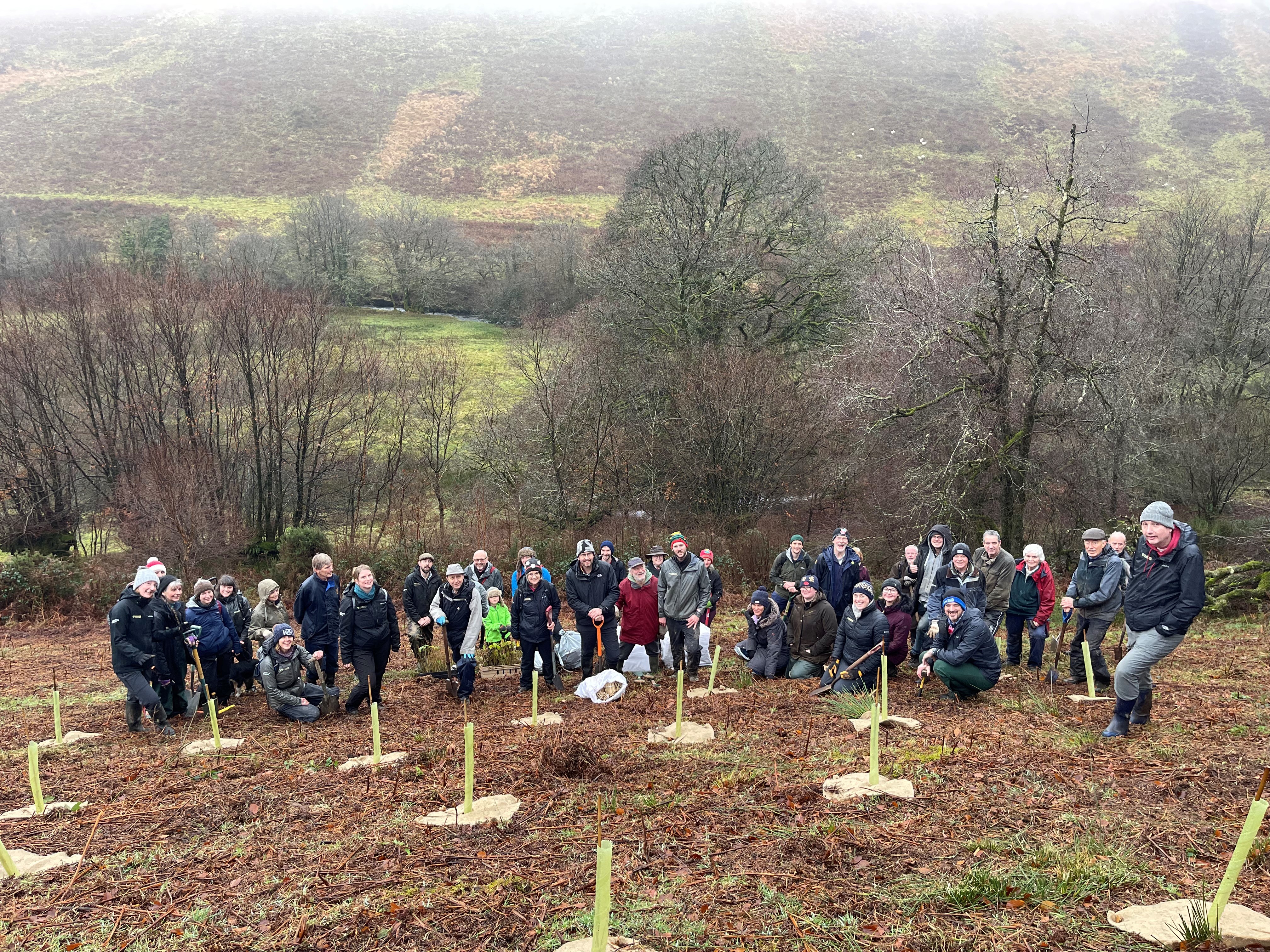 tree planting group