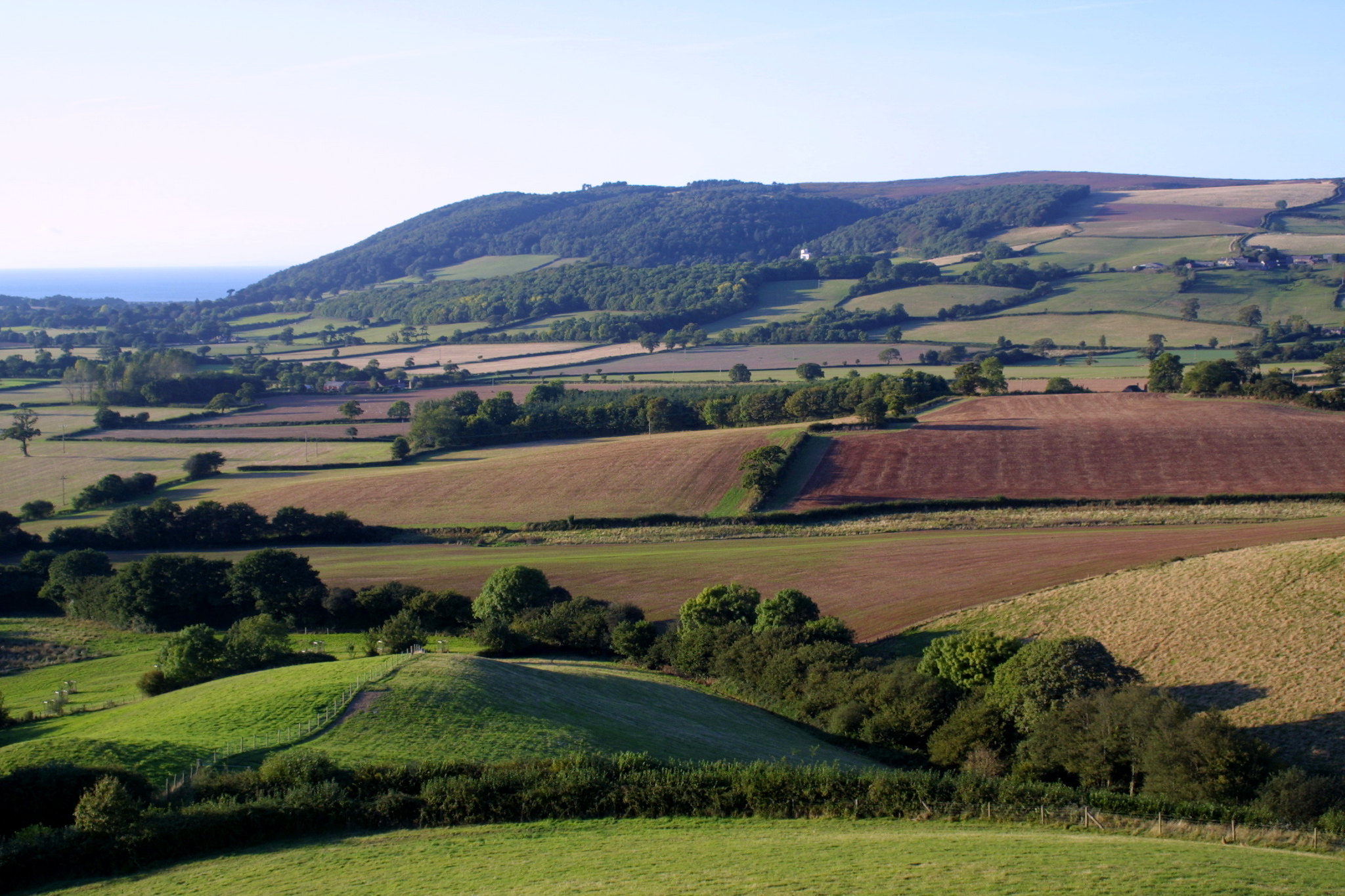 Farmland - Porlock Vale
