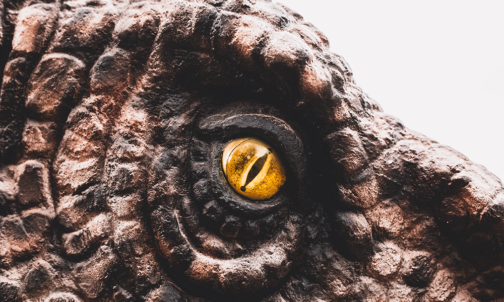 A close up of the eye of a dinosaur