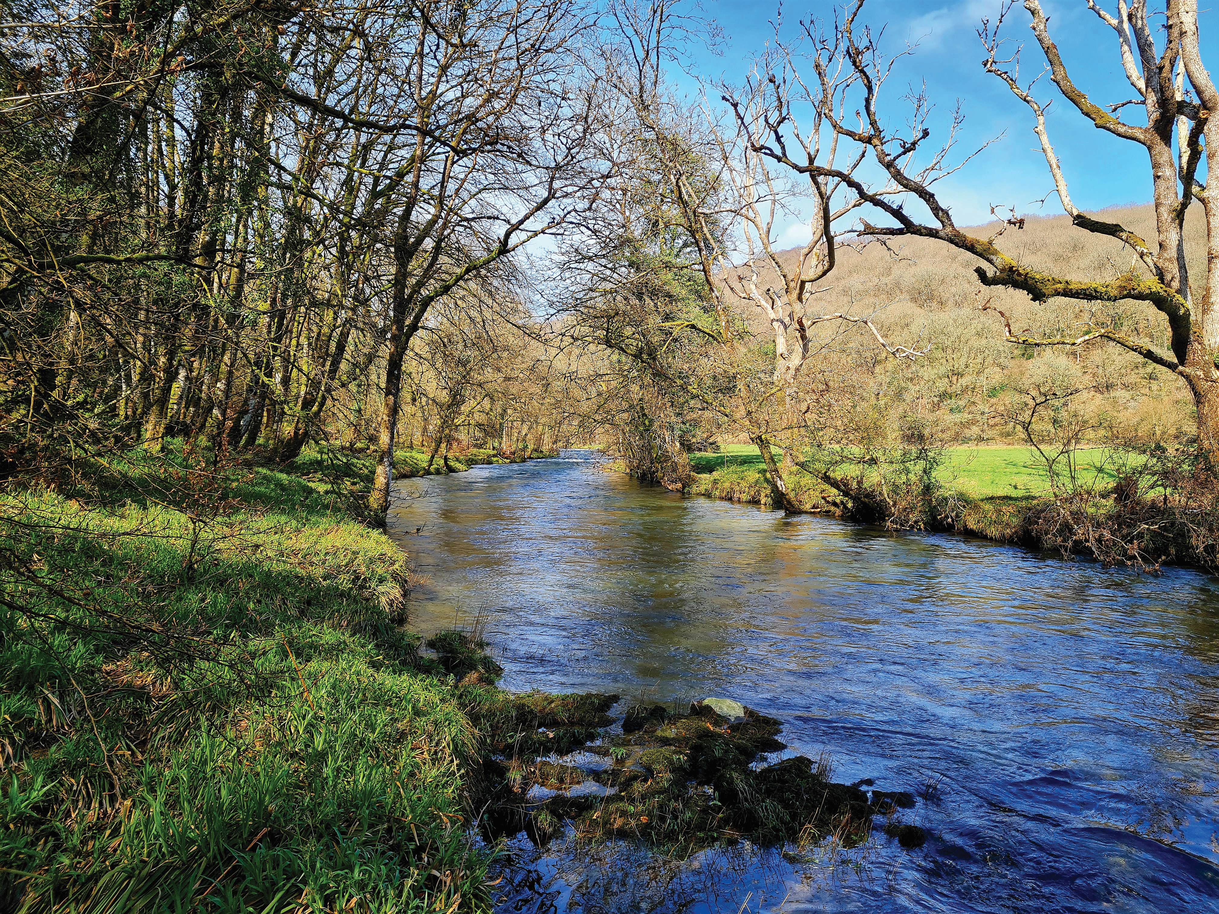 River Barle