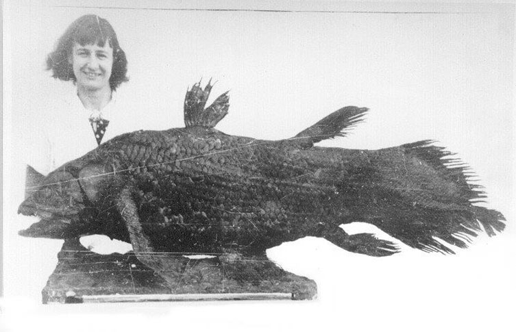 A black and white image of Marjorie Courtenay-Latimer standing beside the mounted 1938 coelacanth specimen