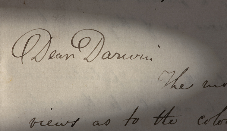 Letter sent to Charles Darwin by Alfred Russel Wallace