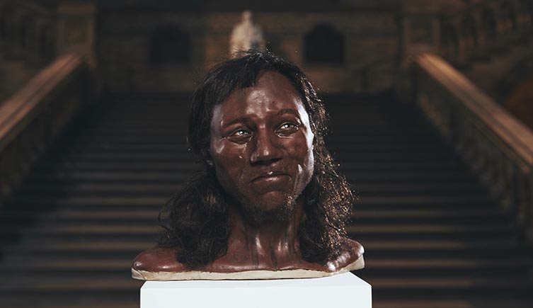 Reconstruction of Cheddar Man's face
