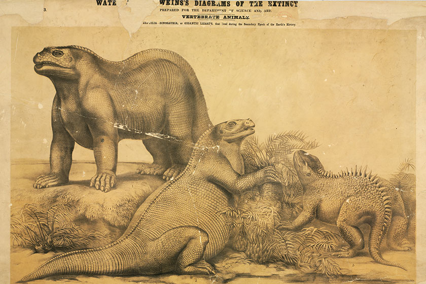 Benjamin Waterhouse Hawkins illustrations of Iguanodon and Hylaeosaurus