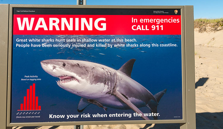 A National Park Service white shark warning sign on a beach