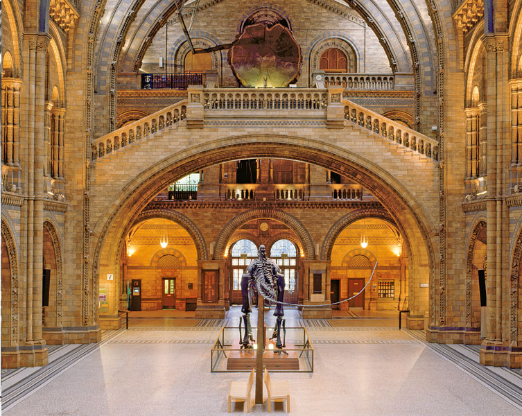 Dippy in the Museum's Hintze Hall