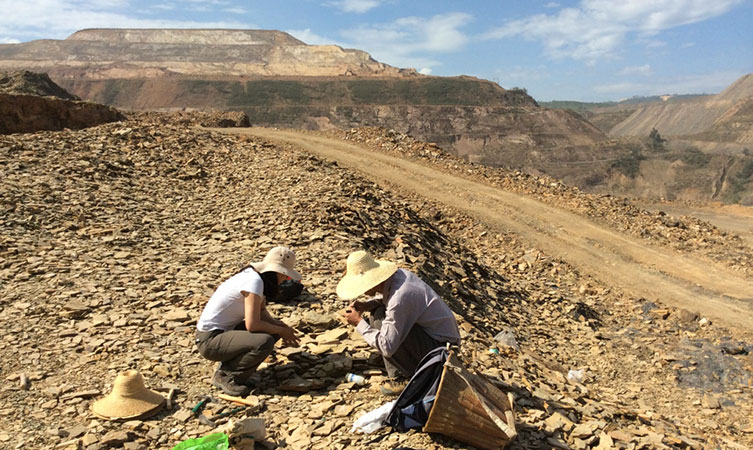 Two scientists fossil hunting among loose rocks