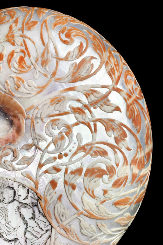 Zoomed in shot showing the details of Hans Sloane's nautilus shell