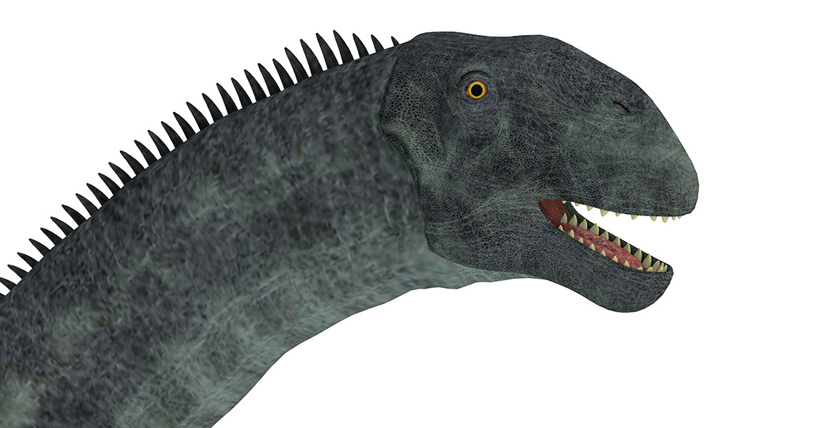 Artistic illustration of the neck and head of a sauropod dinosaur