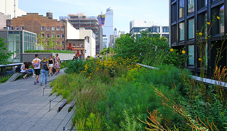 People walk along a path next to green bushes in New York on the High Line