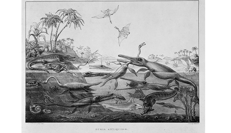An early illustration of prehistoric life, including an ichthyosaur, plesiosaur and a pterosaur.