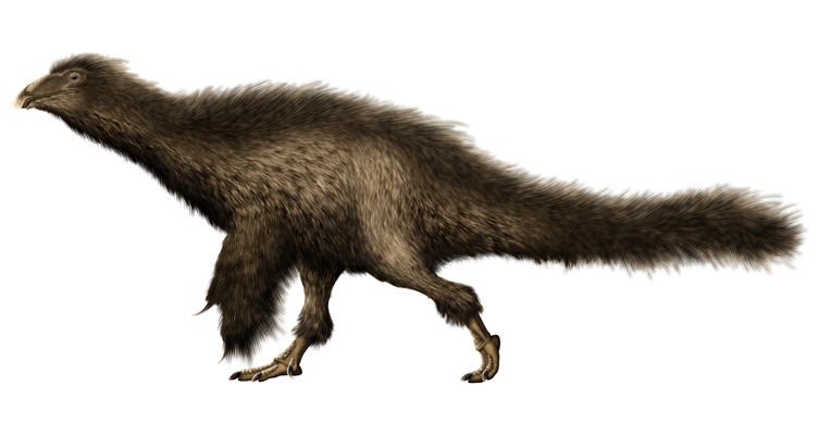 An illustration showing a reconstruction of Beipiaosaurus 