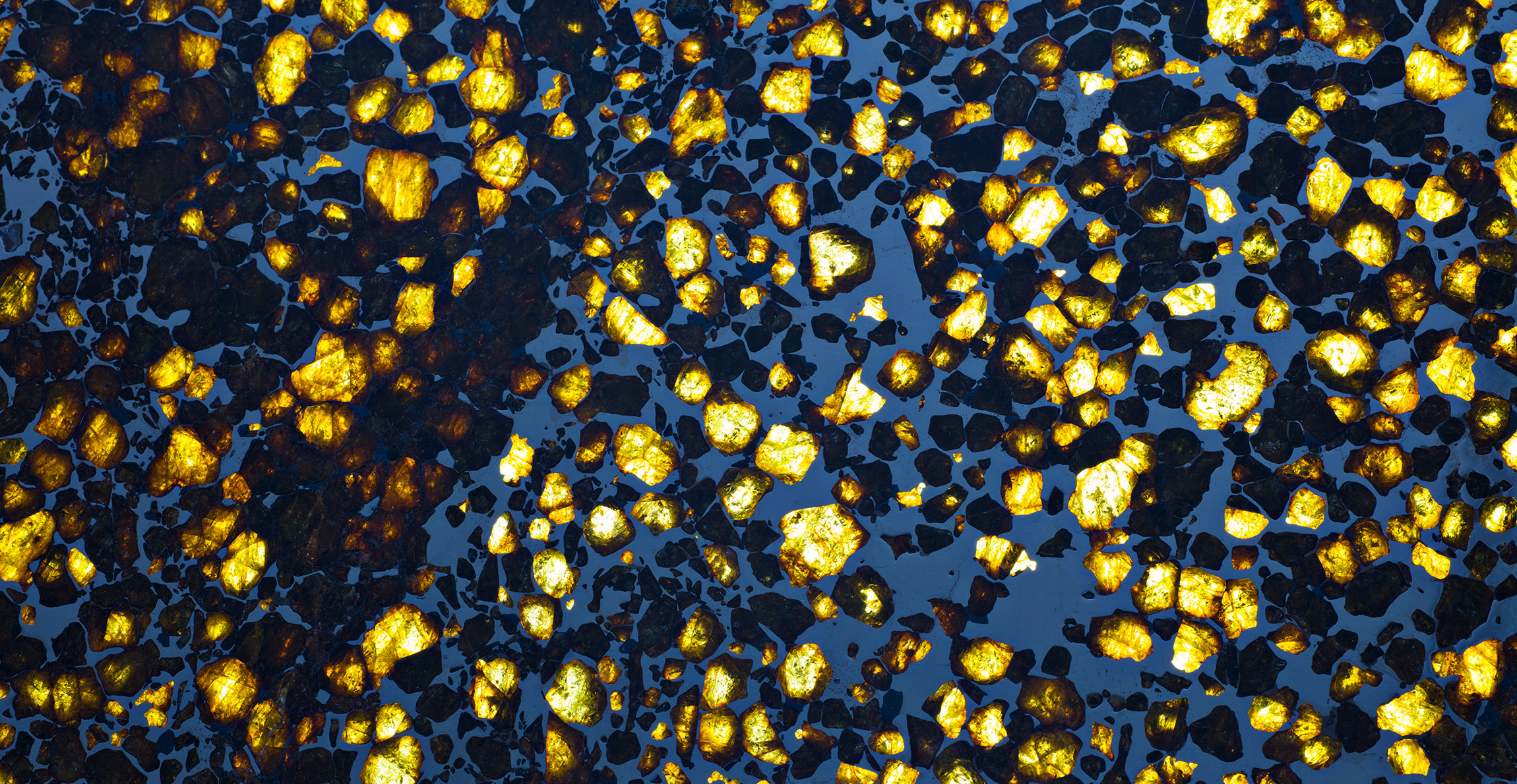 A slice of the Imilac meteorite. It's blue-grey with bright yellow-green crystals embedded across the surface. 
