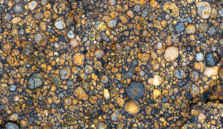 Part of a chondrite found in the Sahara desert